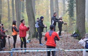 509fea724d246_006 [800x600].jpg